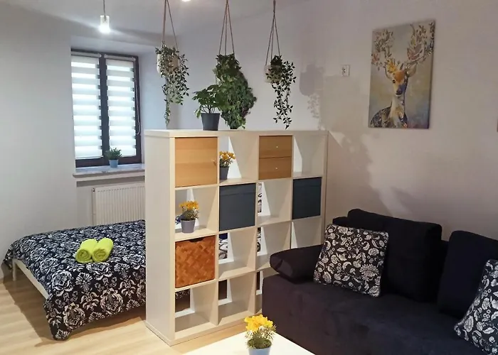 Granatowy Swietoduska 12 * לובלין